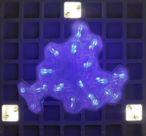 Random Symbiosis